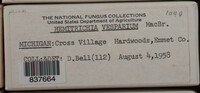 Image Associated With the Occurence